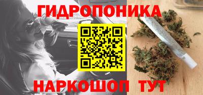 Альфа ПВП Пыть-Ях