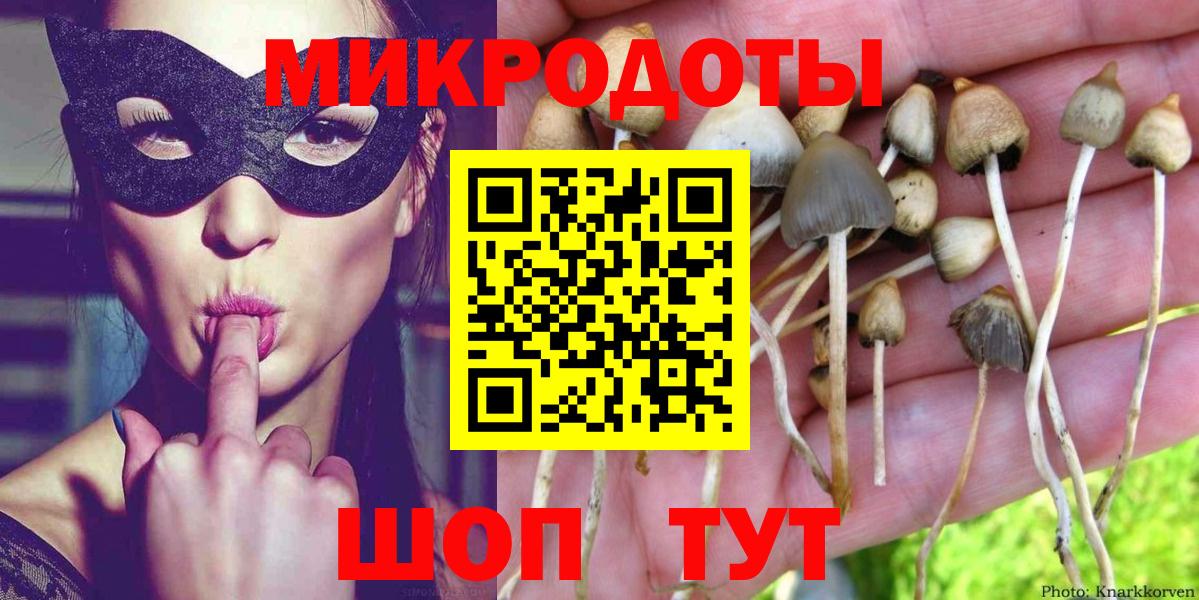 Галлюциногенные грибы Psilocybe Полевской
